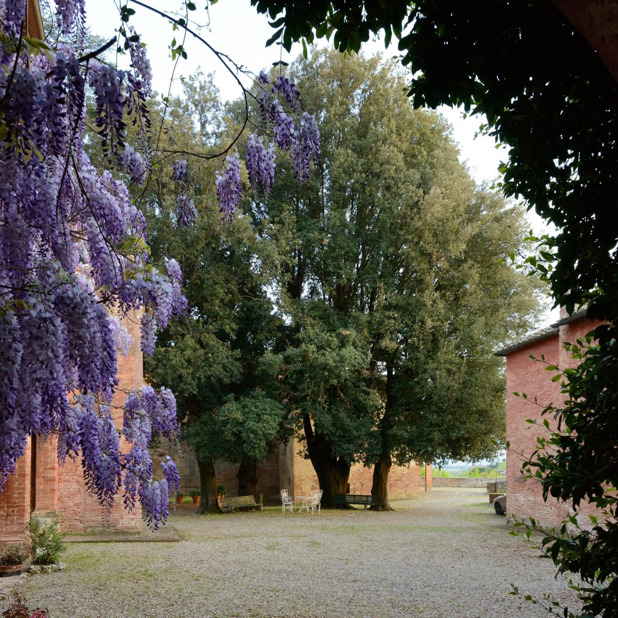 Al Glicine Di Sant'Abondio Villa Siena Luaran gambar