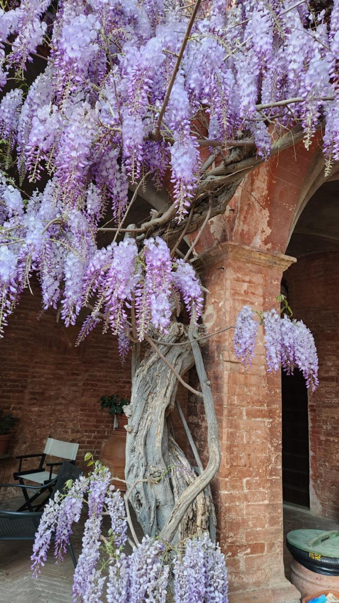 Al Glicine Di Sant'Abondio Villa Siena Luaran gambar