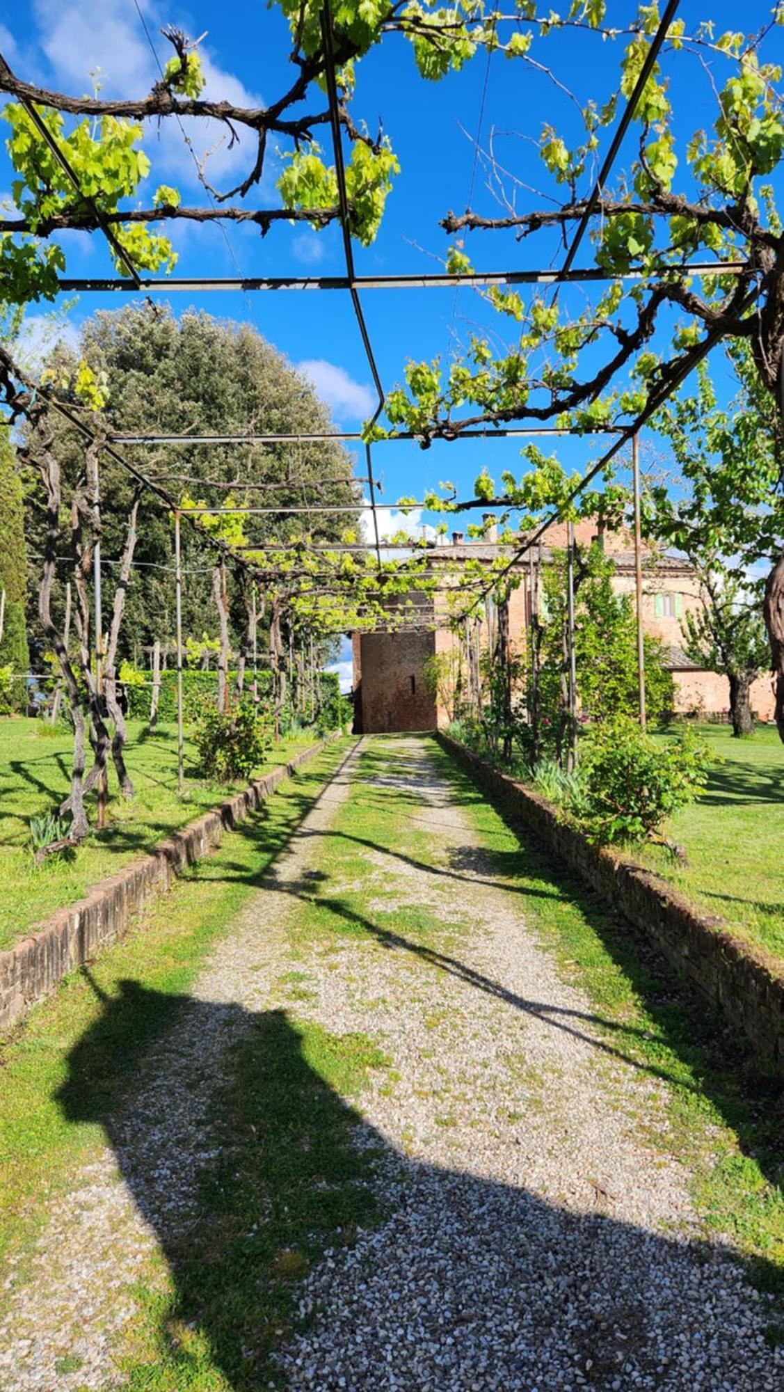 Al Glicine Di Sant'Abondio Villa Siena Luaran gambar