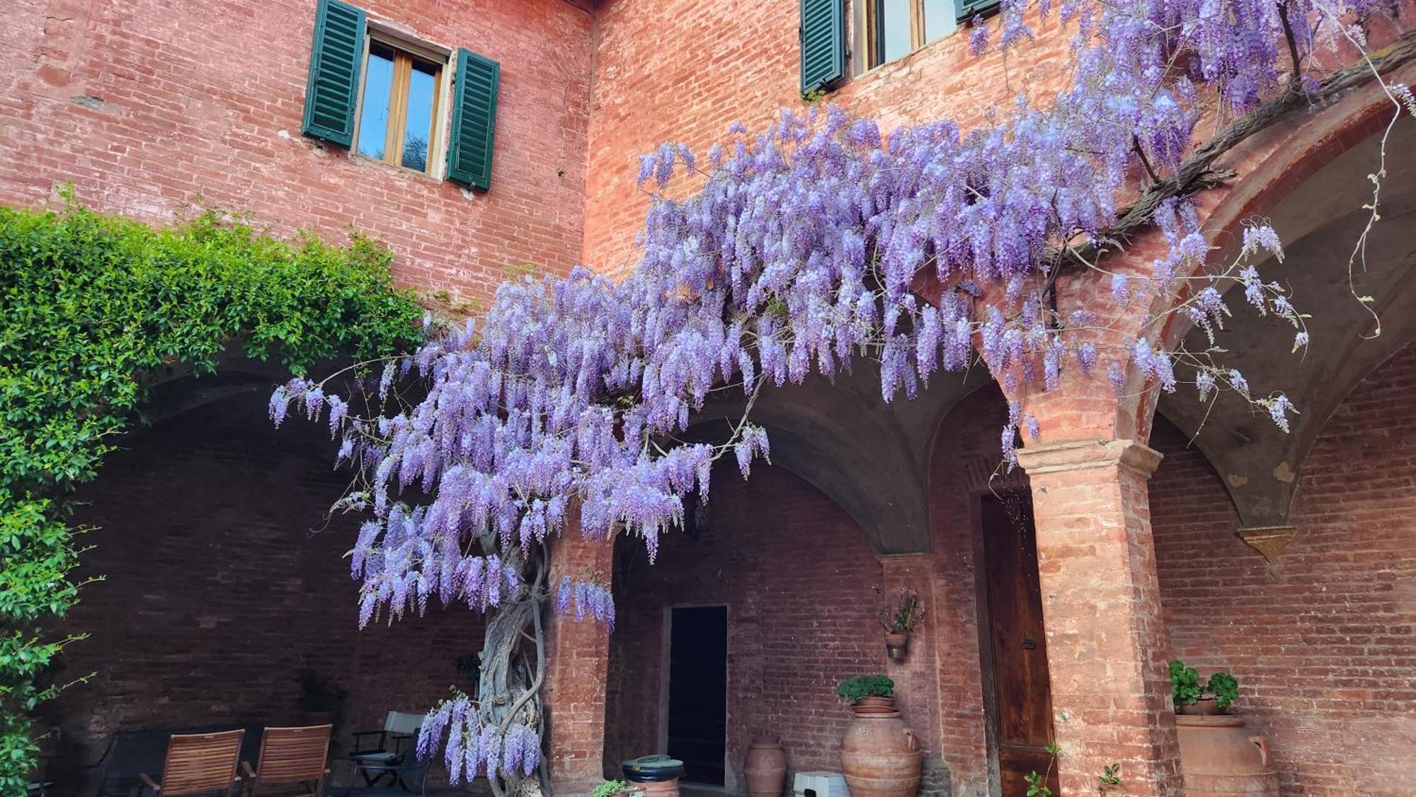 Al Glicine Di Sant'Abondio Villa Siena Luaran gambar
